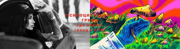 таблы Новодвинск