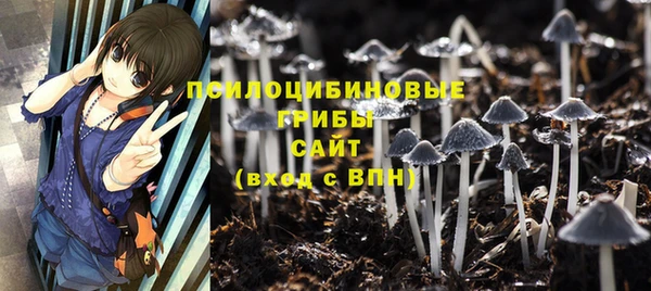 крисы Новозыбков