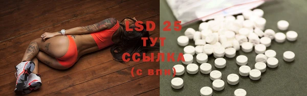 крисы Новозыбков