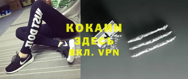 крисы Новозыбков