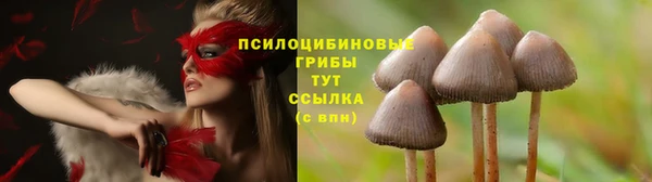 таблы Новодвинск
