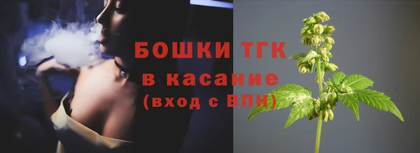 крисы Новозыбков