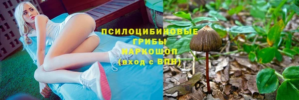 ECSTASY Нязепетровск