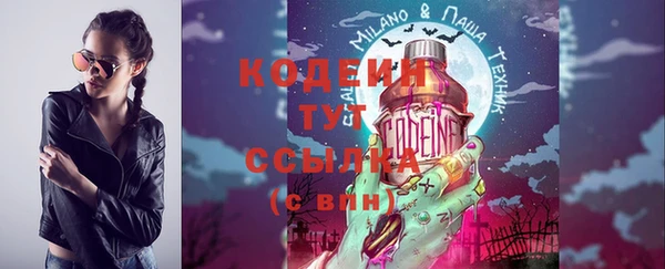 крисы Новозыбков