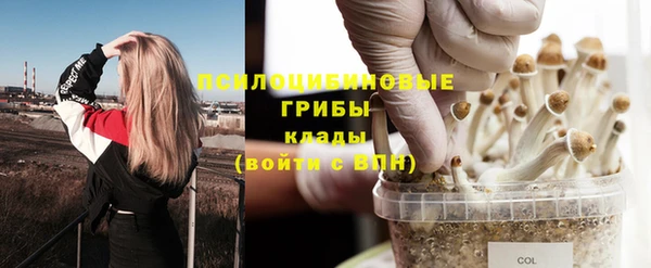 таблы Новодвинск