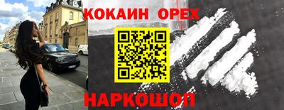 шишки Кандалакша