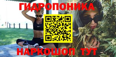 гидра Балахна