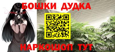 шишки Кандалакша
