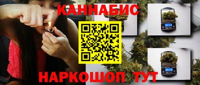 шишки Кандалакша