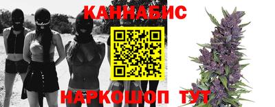 шишки Кандалакша