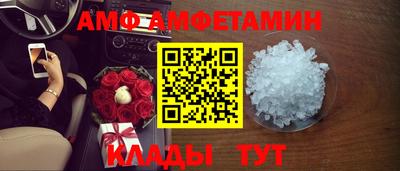 шишки Кандалакша