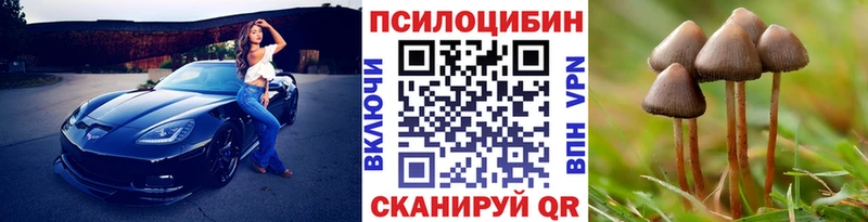 Галлюциногенные грибы Psilocybine cubensis Ногинск