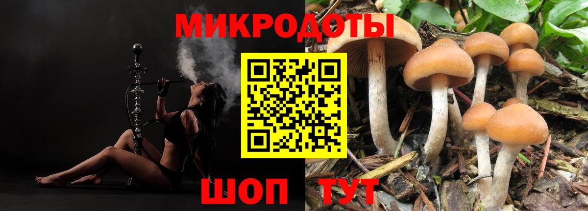 Ногинск  Галлюциногенные грибы MAGIC MUSHROOMS  Вход с VPN 