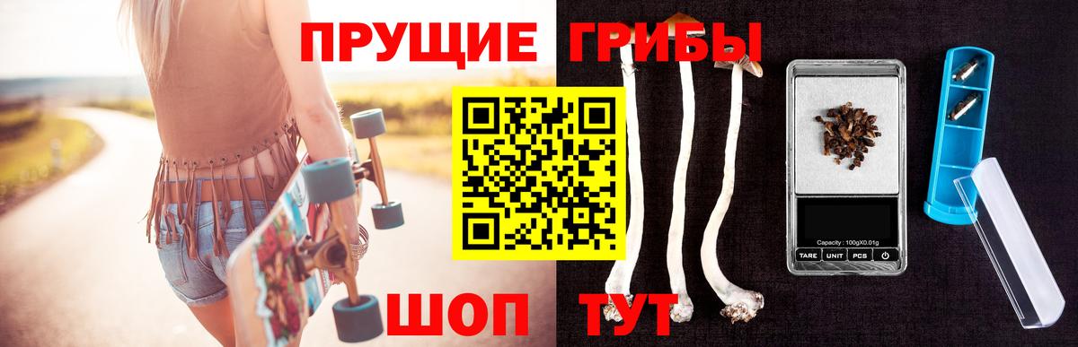 Галлюциногенные грибы ЛСД  Ногинск 